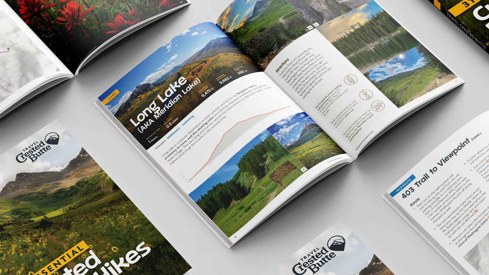 Cover and interior mockups